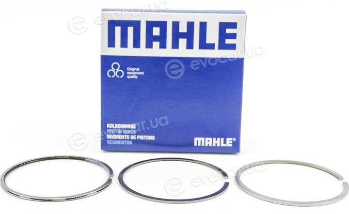Mahle 001 36 N2