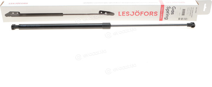 Lesjofors 8017002