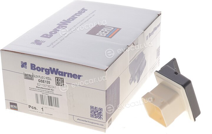 Beru GSE120