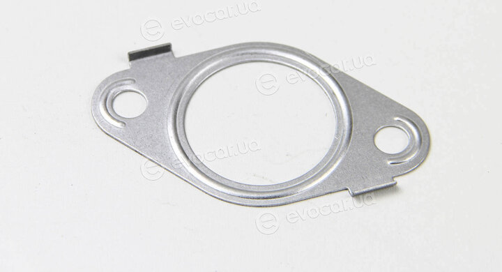 BGA MG5313