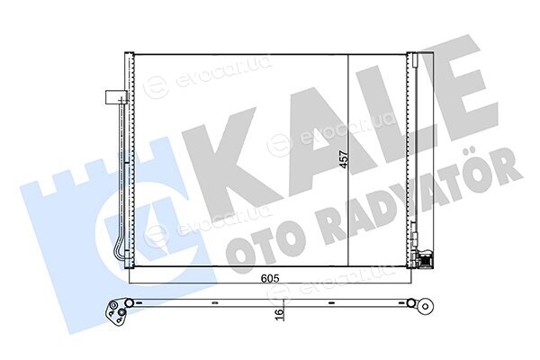 Kale 342495