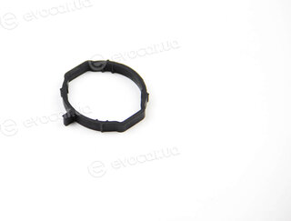 BGA MG3764