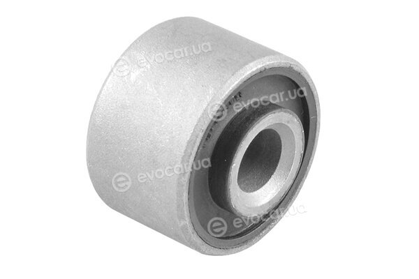 Tedgum 024801