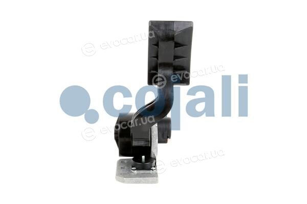 Cojali 2260503
