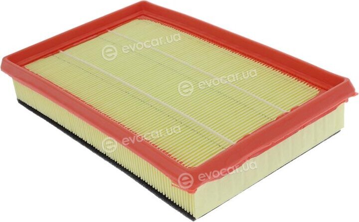 Starline SF VF7565