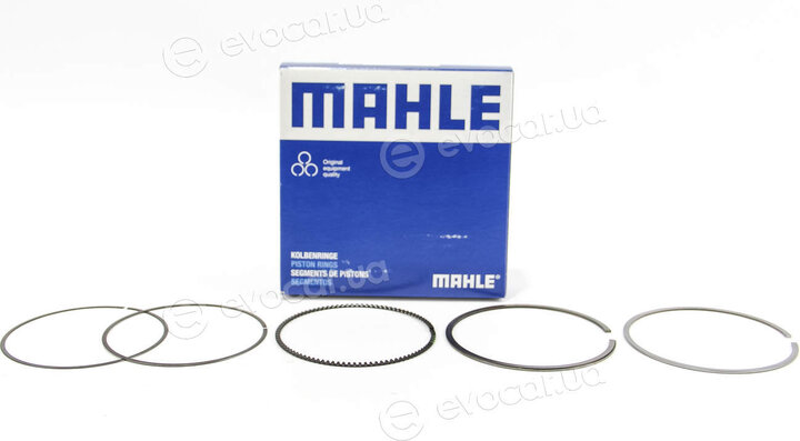 Mahle 081 RS 00101 0N0