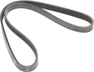 Finwhale BP5PK970