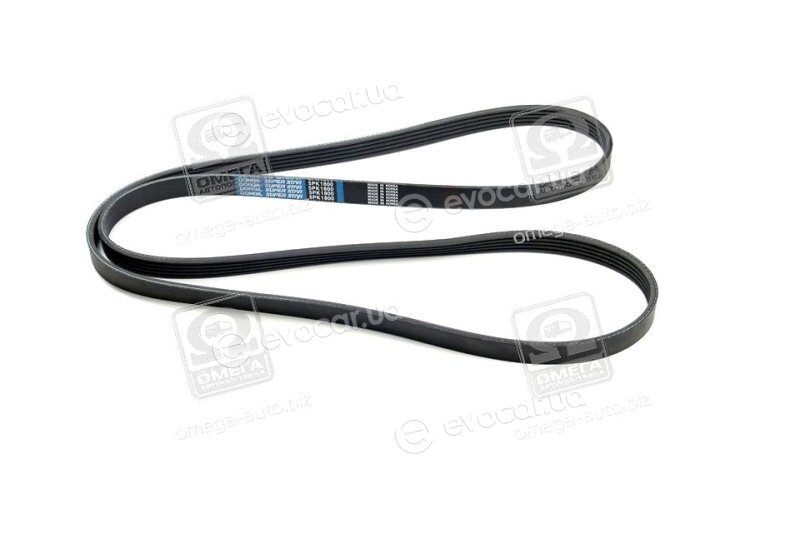 Dongil 5PK1800