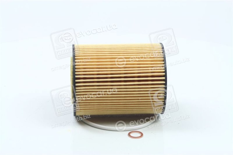 Hengst E106H D34