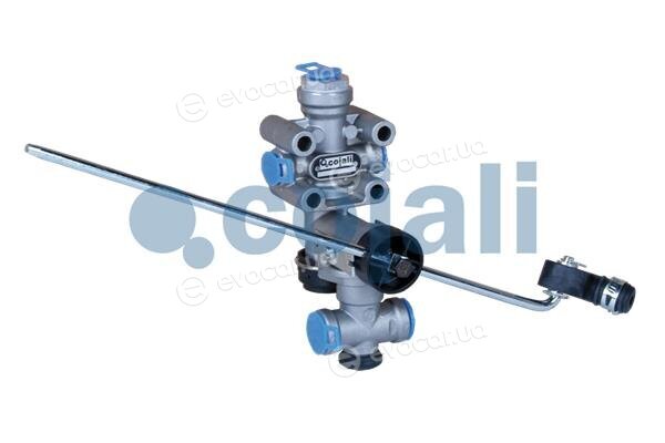 Cojali 2214413