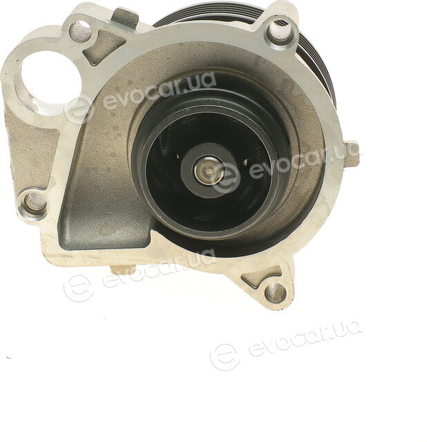 Hepu P463