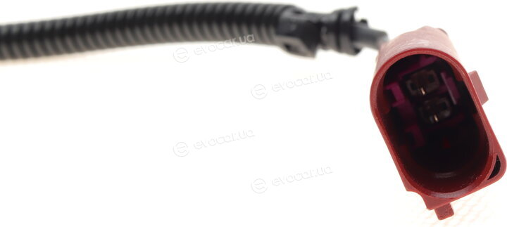 Solgy 115060