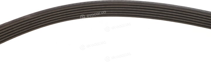 Gates K036PK1053