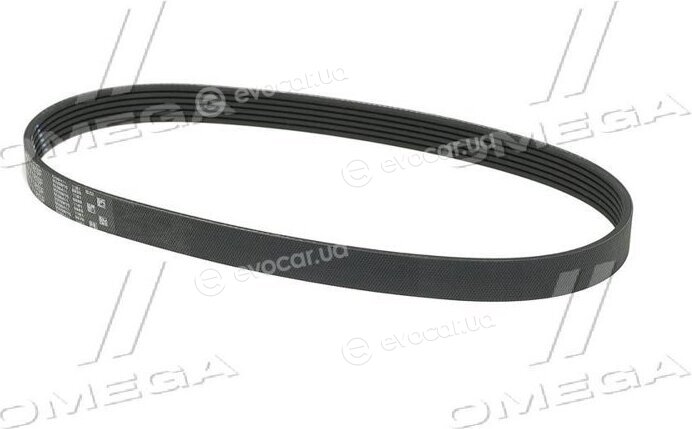 Gates 6PK718SF