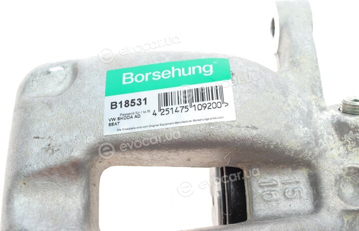 Borsehung B18531