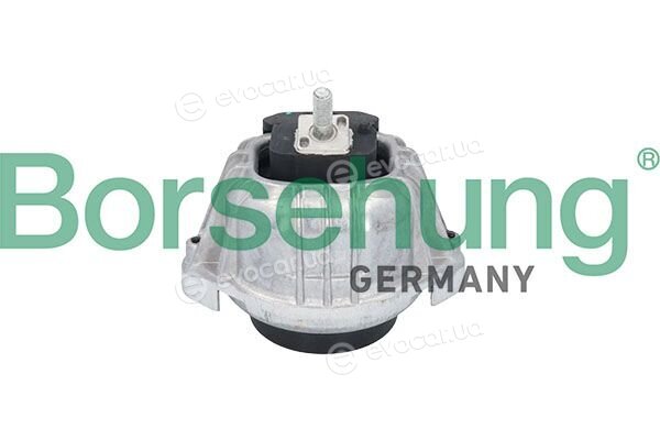 Borsehung B12910