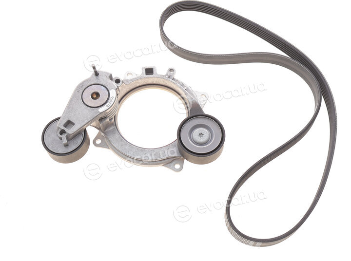 Continental 6PK1120 EXTRA K1
