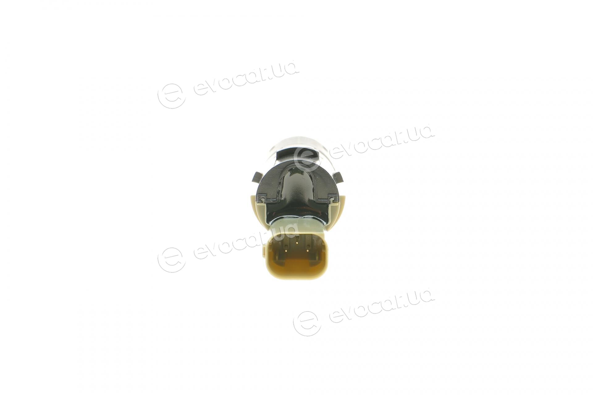 AIC 55447