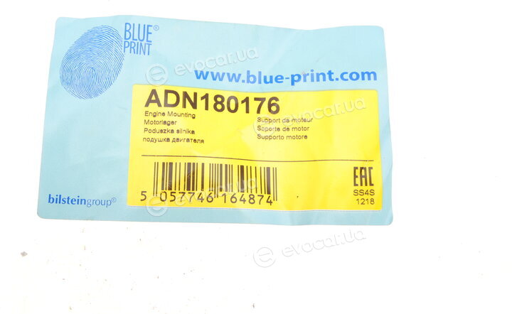 Blue Print ADN180176