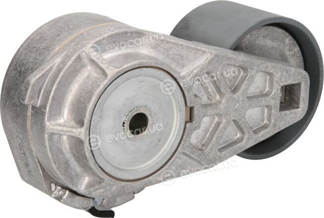 Dayco APV3244