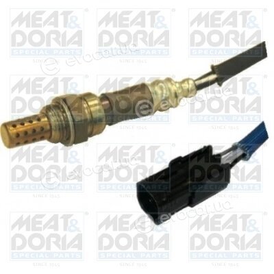 Meat & Doria 81573