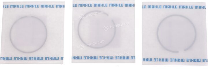 Mahle 010 04 N1