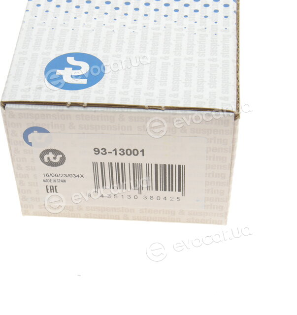 RTS 93-13001