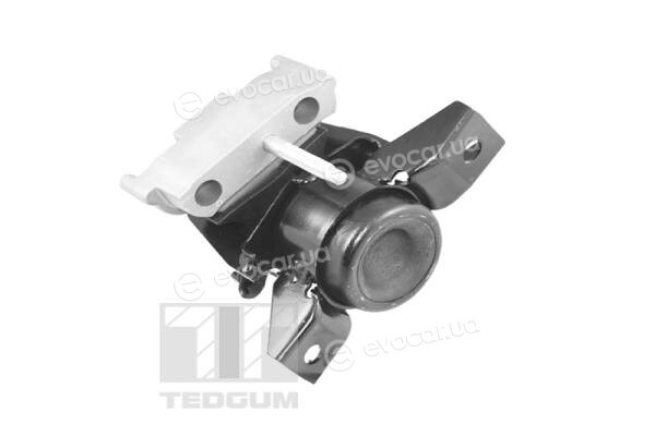Tedgum TED13922