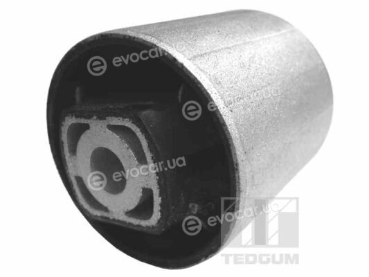 Tedgum 054567