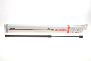 Lesjofors 8126149