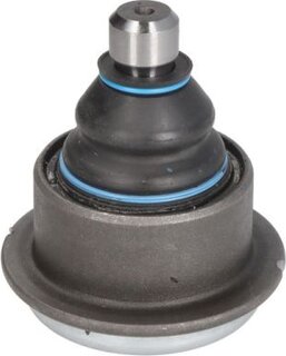 Reinhoch RH03-6013