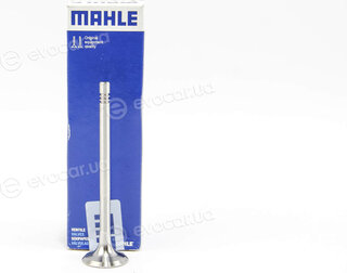 Mahle 029 VA 30529 100