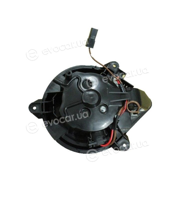 Walker / Fonos WBL01396