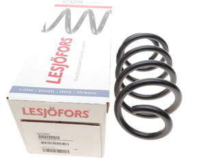 Lesjofors 4217002