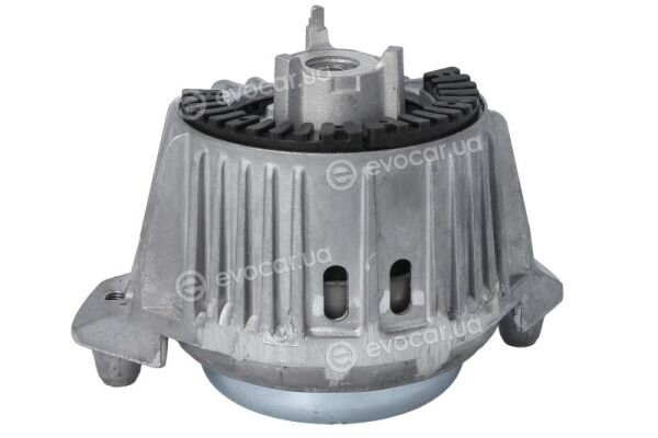 Reinhoch RH11-3119