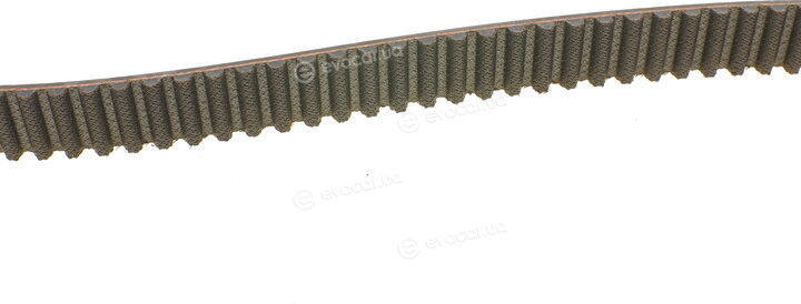 Continental CT909WP1