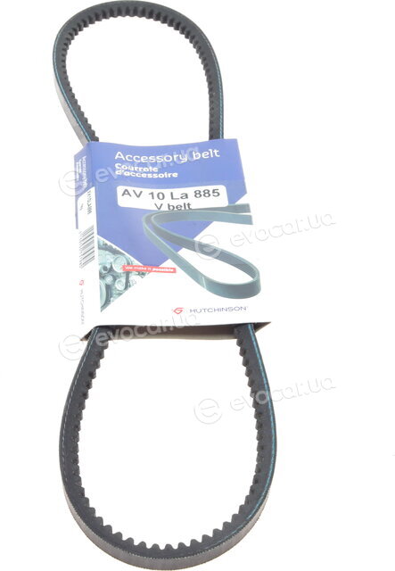 Hutchinson AV 10 La 885