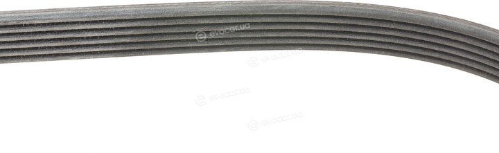 Continental 6PK1033 ELAST