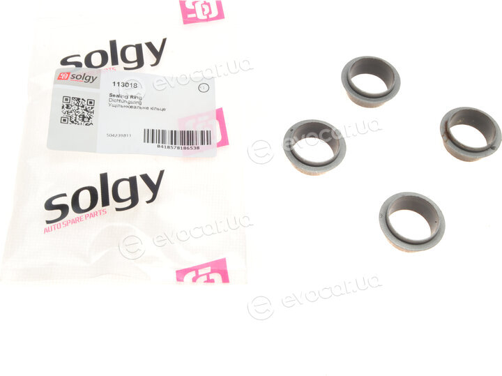Solgy 113018