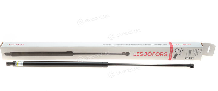 Lesjofors 8172925