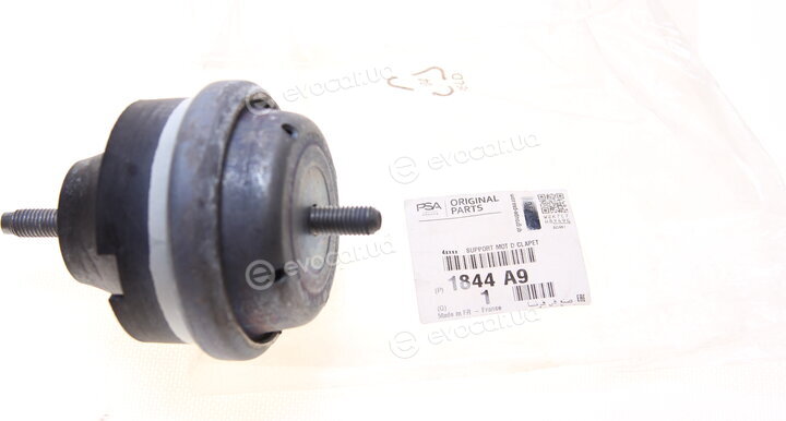Mopar (PSA / FCA) 1844A9