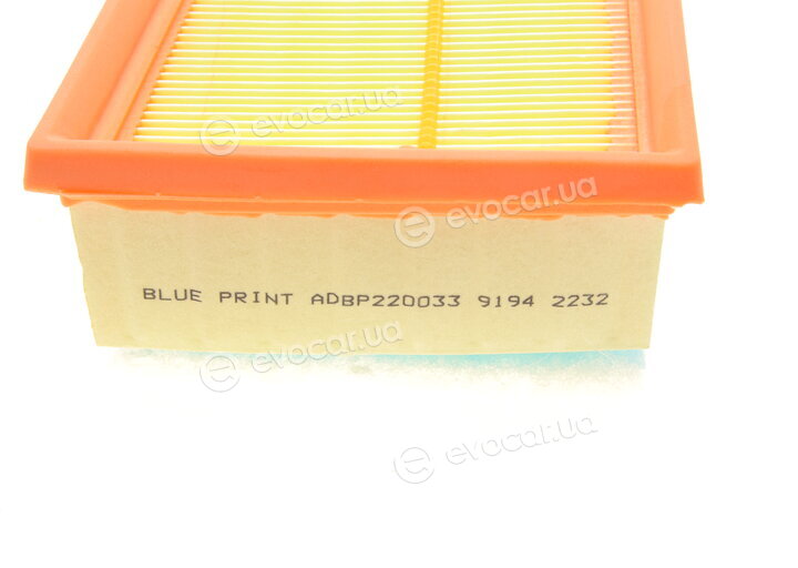Blue Print ADBP220033