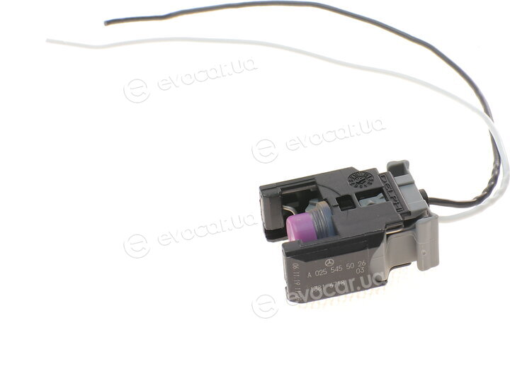 Solgy 412010