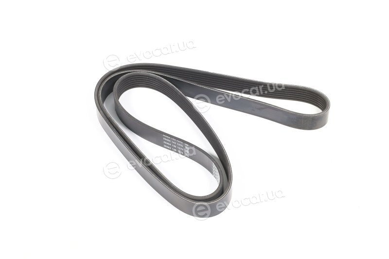 Dayco 7PK1666