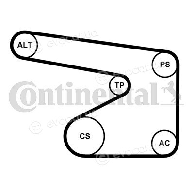 Continental 5PK1355WP1