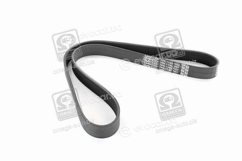 Dayco 7PK1103