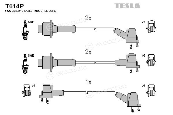 Tesla T614P