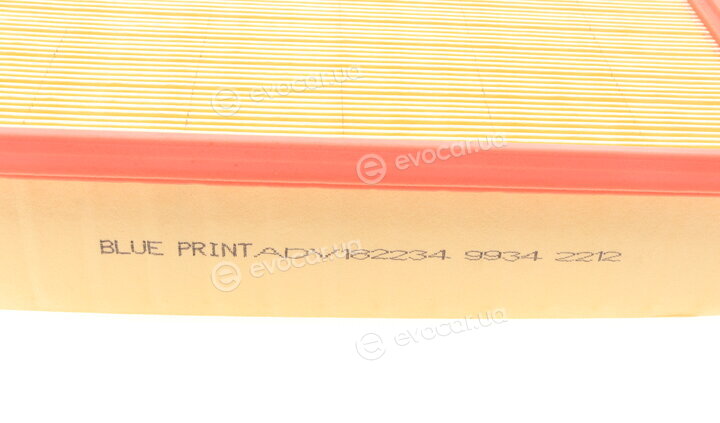Blue Print ADV182234
