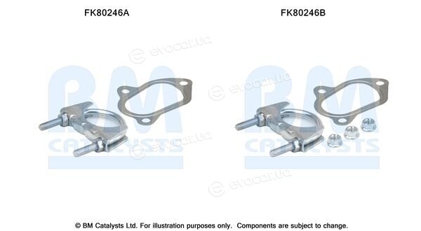 BM Catalysts FK80246