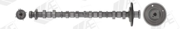 AE CAM1036